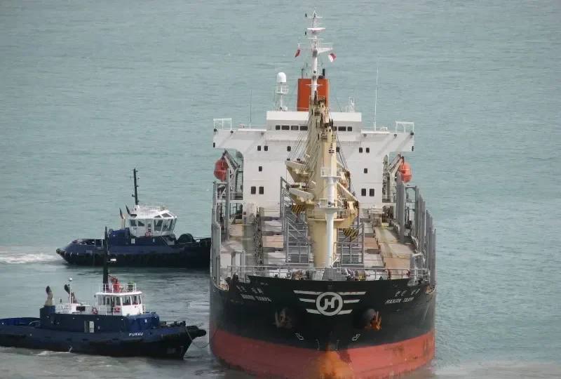 RUN FU 2 Bulk Carrier IMO 9110327 photo 3
