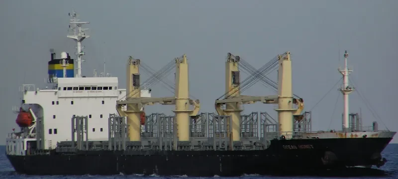 RUN FU 2 Bulk Carrier IMO 9110327 photo 5