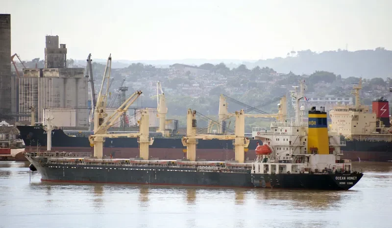RUN FU 2 Bulk Carrier IMO 9110327 photo 8
