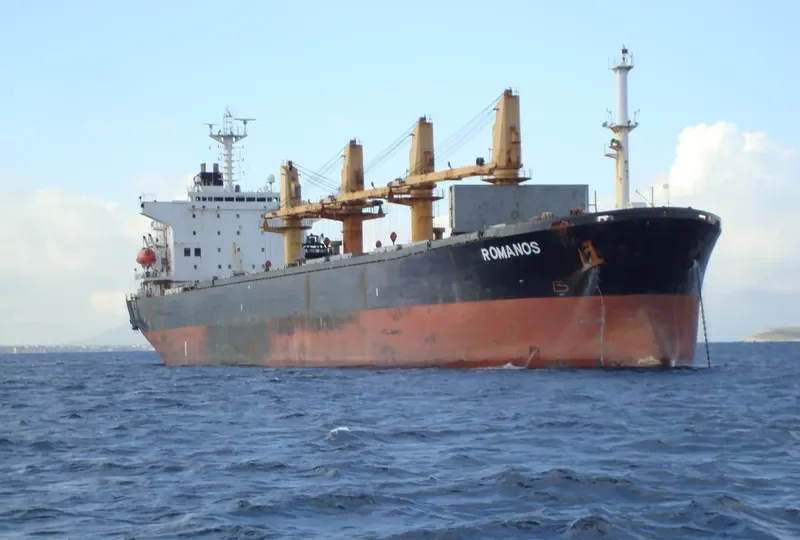 ROMANOS Bulk Carrier IMO 9110353 photo 2