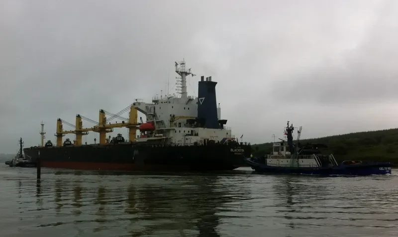 KAVKAZ IV Bulk Carrier IMO 9110365 photo 6