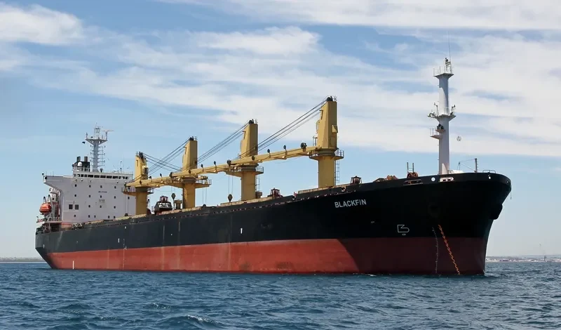KAVKAZ IV Bulk Carrier IMO 9110365 photo 7