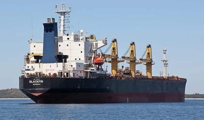 KAVKAZ IV Bulk Carrier IMO 9110365 photo 8