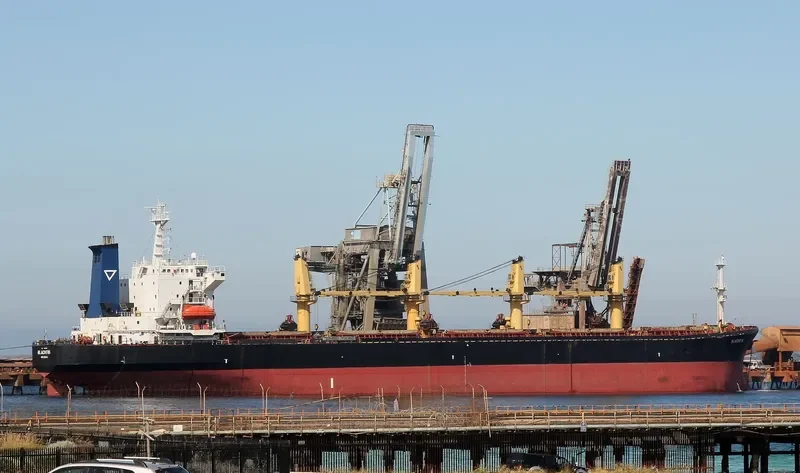 KAVKAZ IV Bulk Carrier IMO 9110365 photo 9