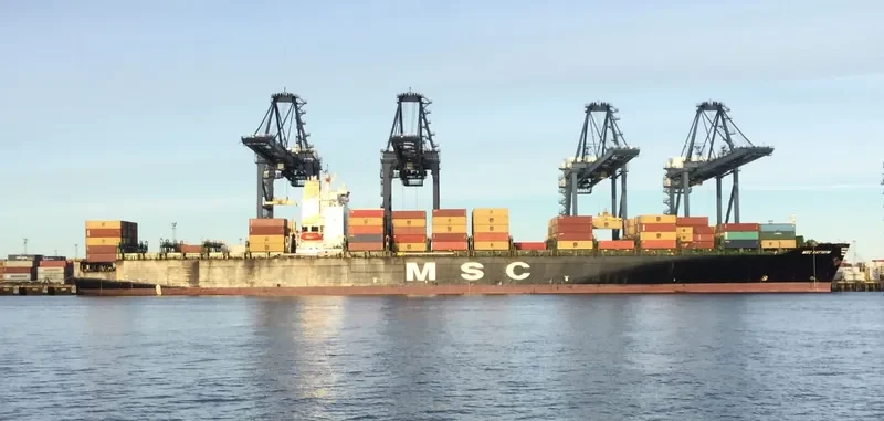 MSC KATYAYNI Container Ship IMO 9110389