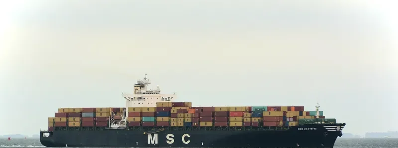 MSC KATYAYNI Container Ship IMO 9110389 photo 2