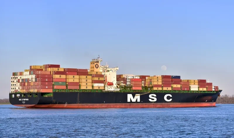 MSC DYMPHNA Container Ship IMO 9110391 photo 18
