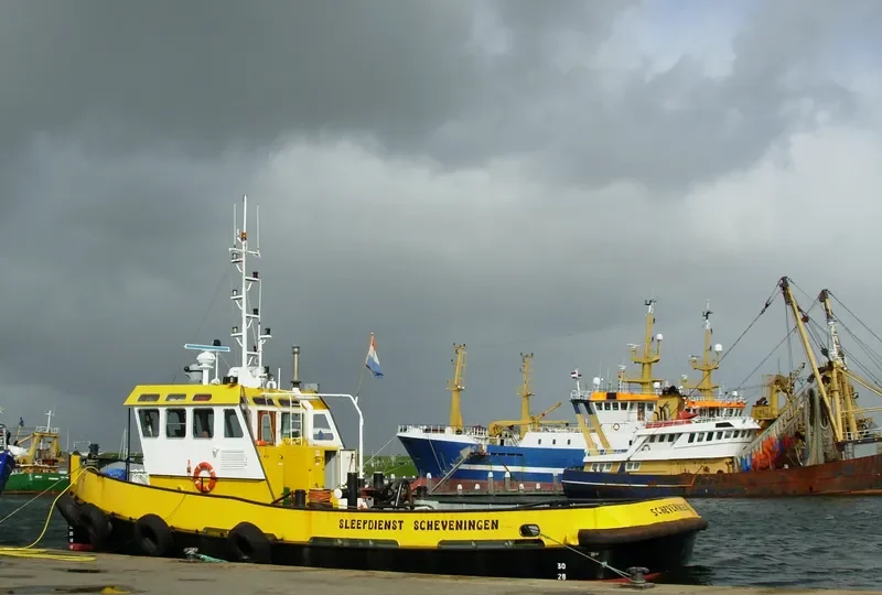 OCEAAN 2 General Cargo IMO 9110406 photo 9
