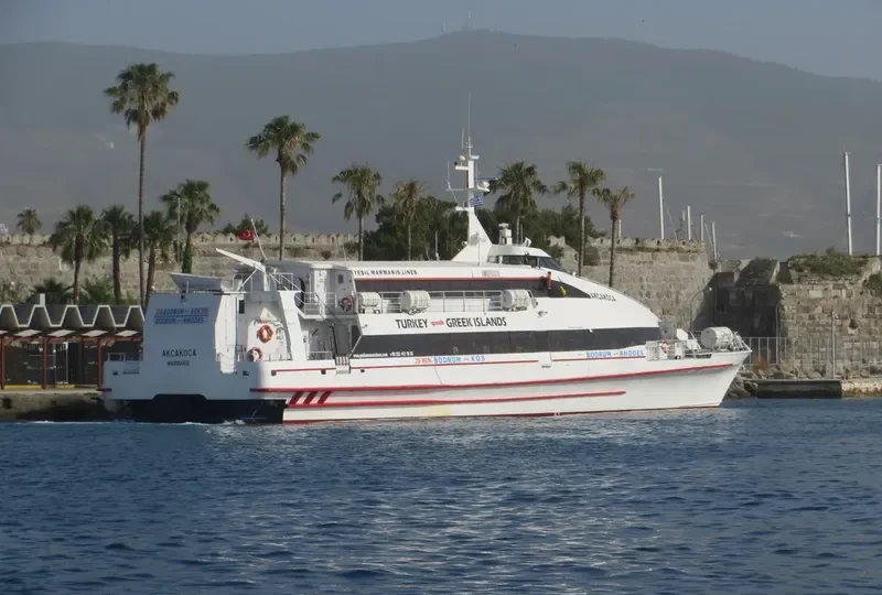AKCAKOCA Passenger Ship IMO 9110418 photo 5