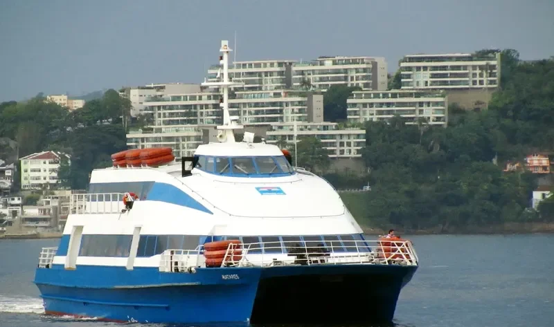 AVATARES Passenger Ship IMO 9110420 photo 2