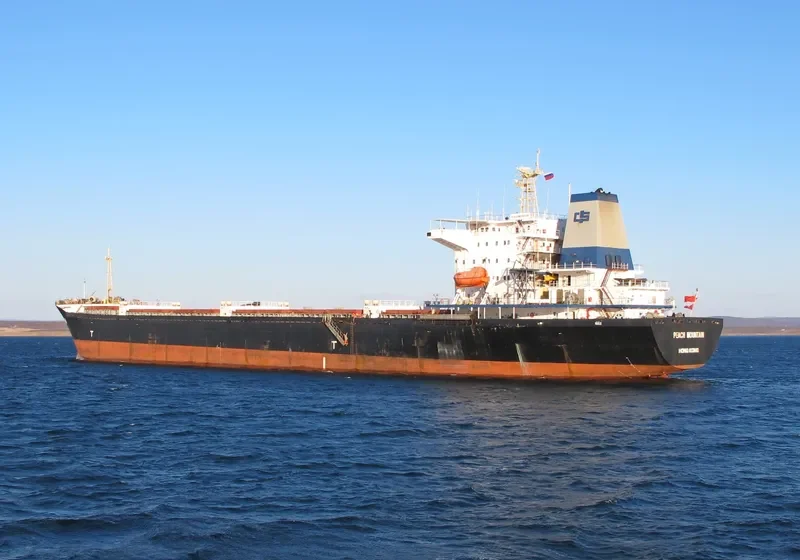 PEACH MOUNTAIN Bulk Carrier IMO 9110494 photo 2