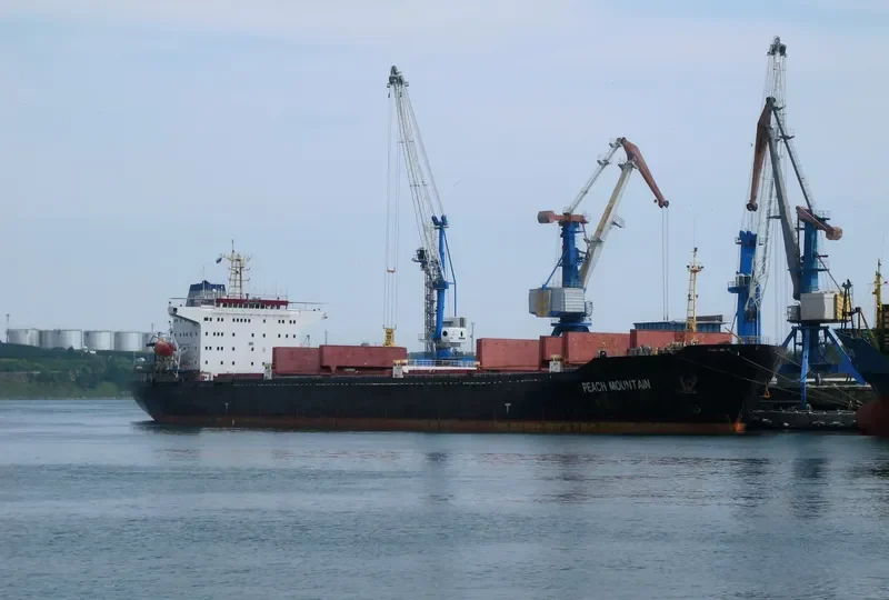 PEACH MOUNTAIN Bulk Carrier IMO 9110494 photo 4