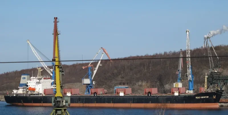 PEACH MOUNTAIN Bulk Carrier IMO 9110494 photo 5