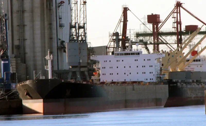 ANCONA Bulk Carrier IMO 9110511