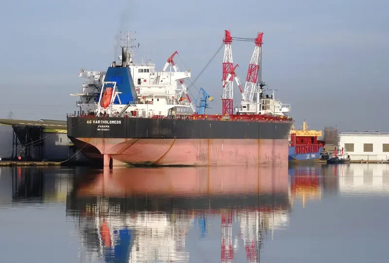 ANCONA Bulk Carrier IMO 9110511 photo 4