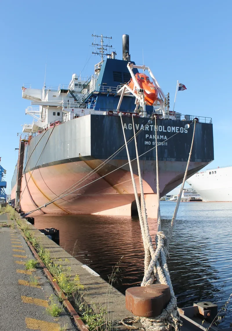 ANCONA Bulk Carrier IMO 9110511 photo 7