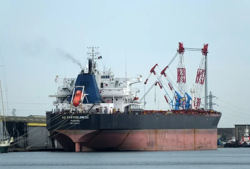 ANCONA Bulk Carrier IMO 9110511 photo 8