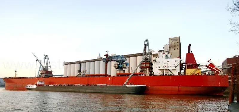 ANGARA Bulk Carrier IMO 9110523 photo 2