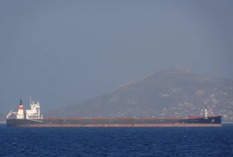 ANGARA Bulk Carrier IMO 9110523 photo 5