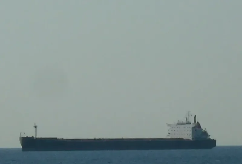 ANGARA Bulk Carrier IMO 9110523 photo 9