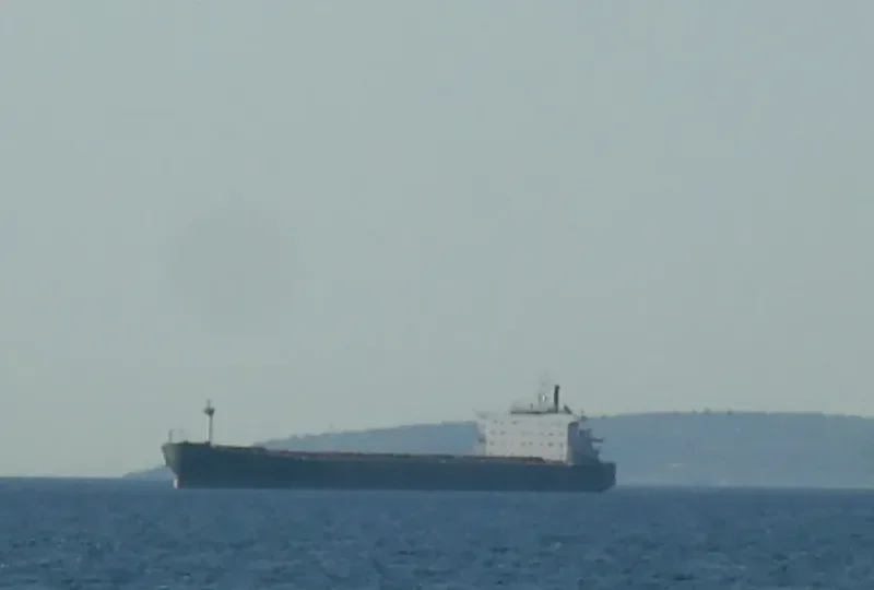 ANGARA Bulk Carrier IMO 9110523 photo 10