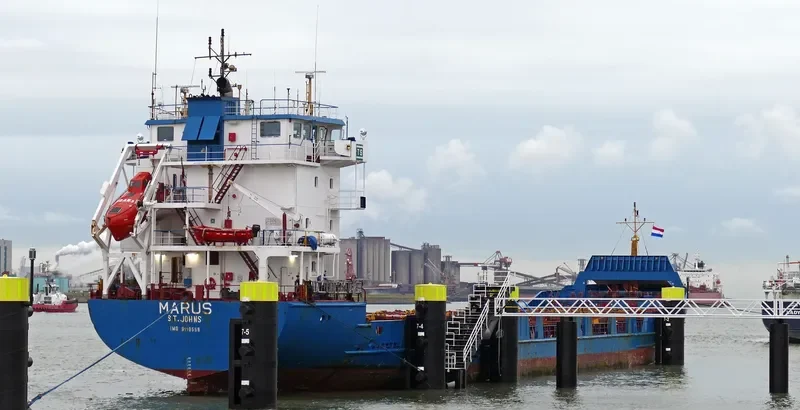 MARUS Container Ship IMO 9110559