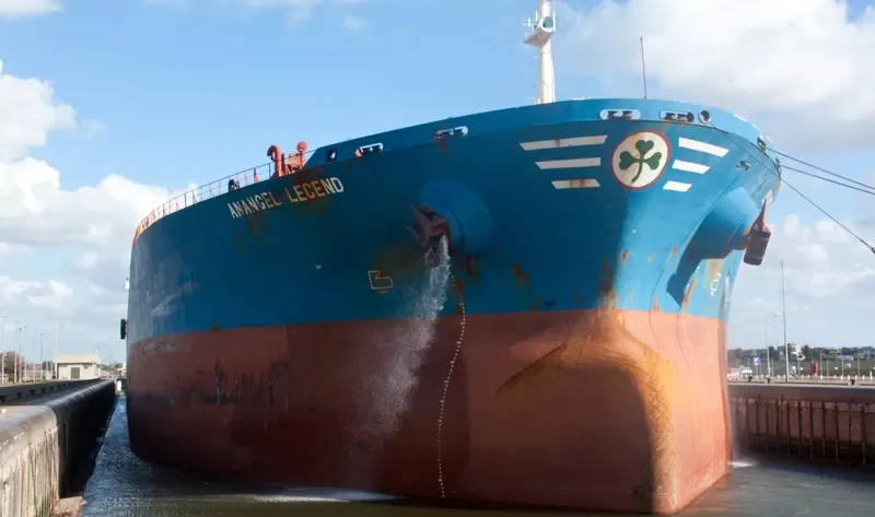 ANANGEL LEGEND Bulk Carrier IMO 9110652 photo 7