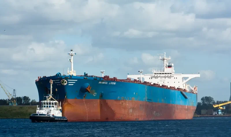 ANANGEL LEGEND Bulk Carrier IMO 9110652 photo 8