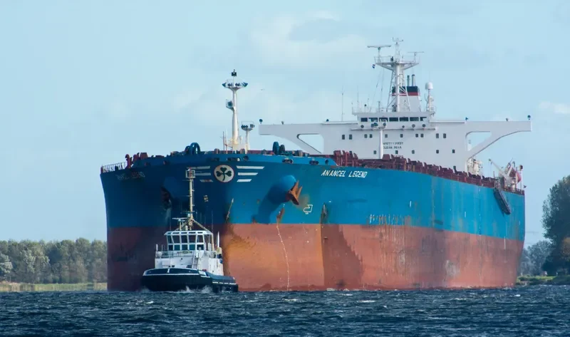 ANANGEL LEGEND Bulk Carrier IMO 9110652 photo 9