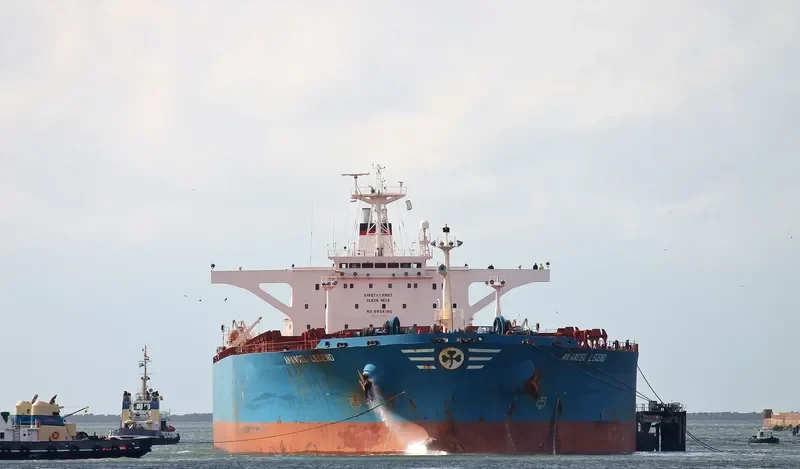 ANANGEL LEGEND Bulk Carrier IMO 9110652 photo 10