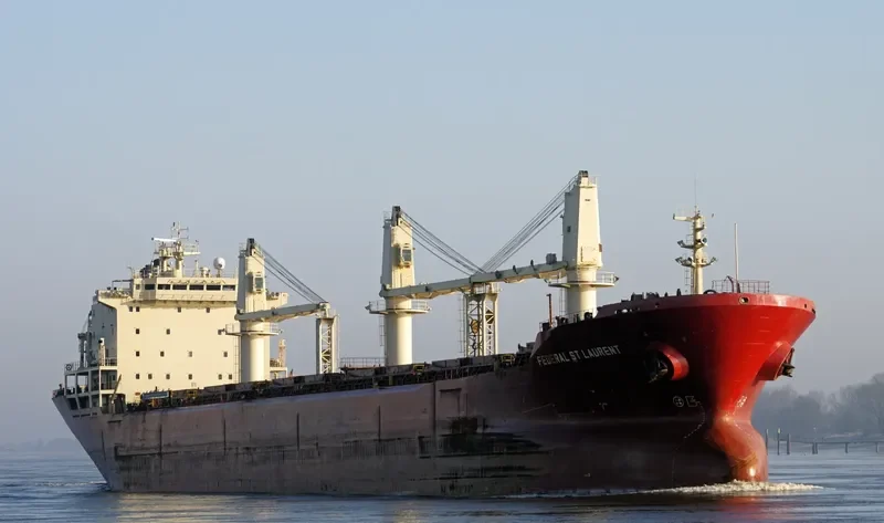 FEDERAL ST.LAURENT Bulk Carrier IMO 9110896