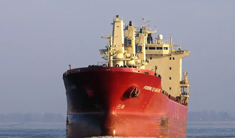 FEDERAL ST.LAURENT Bulk Carrier IMO 9110896 photo 2