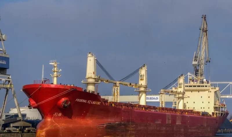 FEDERAL ST.LAURENT Bulk Carrier IMO 9110896 photo 3