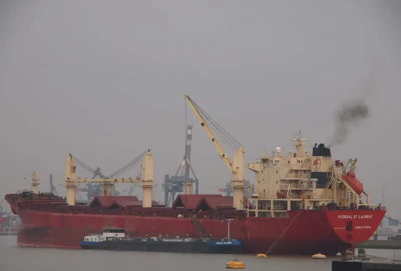 FEDERAL ST.LAURENT Bulk Carrier IMO 9110896 photo 4