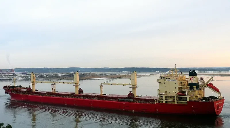 FEDERAL ST.LAURENT Bulk Carrier IMO 9110896 photo 7