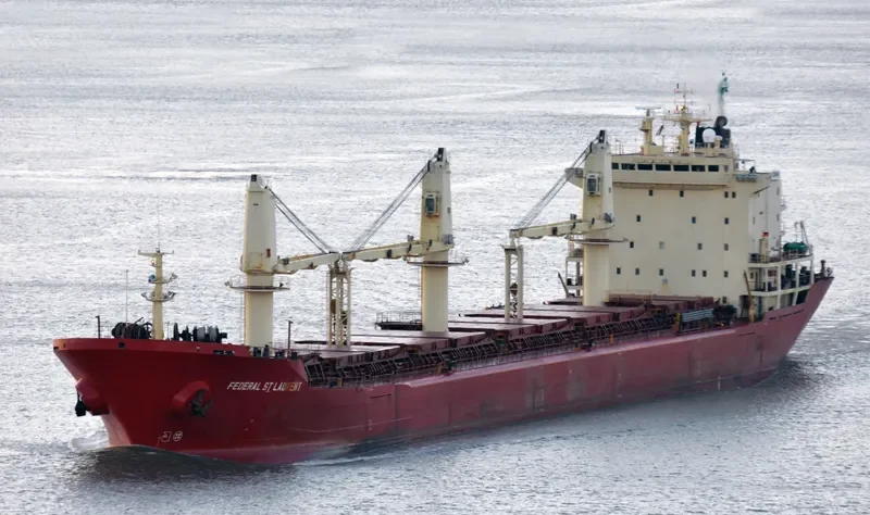 FEDERAL ST.LAURENT Bulk Carrier IMO 9110896 photo 10