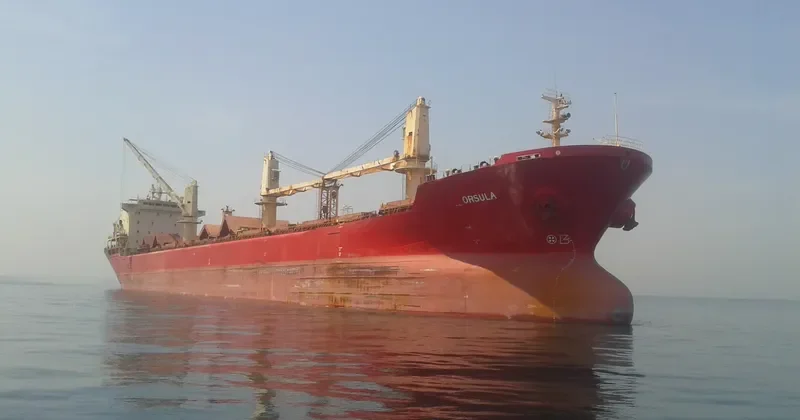 EPSILON Bulk Carrier IMO 9110901 photo 2