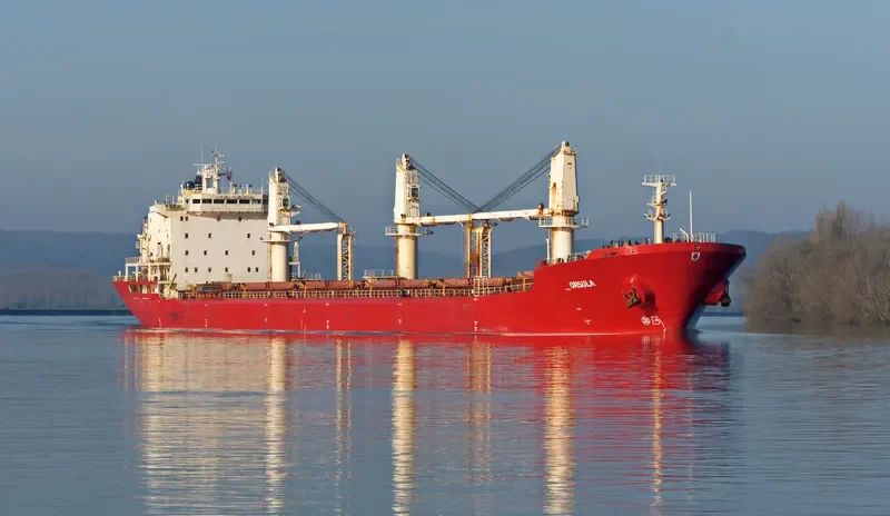 EPSILON Bulk Carrier IMO 9110901 photo 3