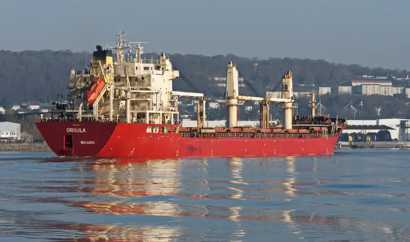 EPSILON Bulk Carrier IMO 9110901 photo 4