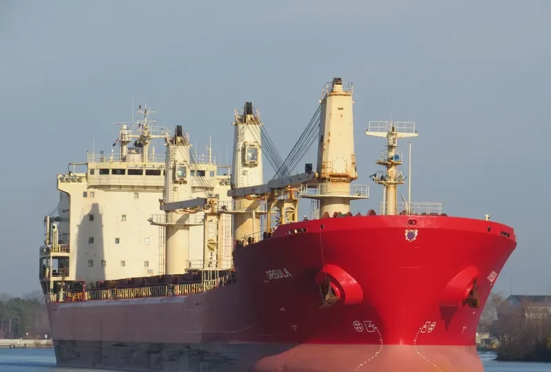 EPSILON Bulk Carrier IMO 9110901 photo 6