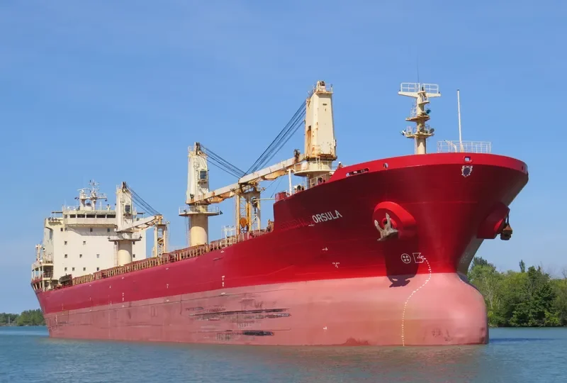 EPSILON Bulk Carrier IMO 9110901 photo 8