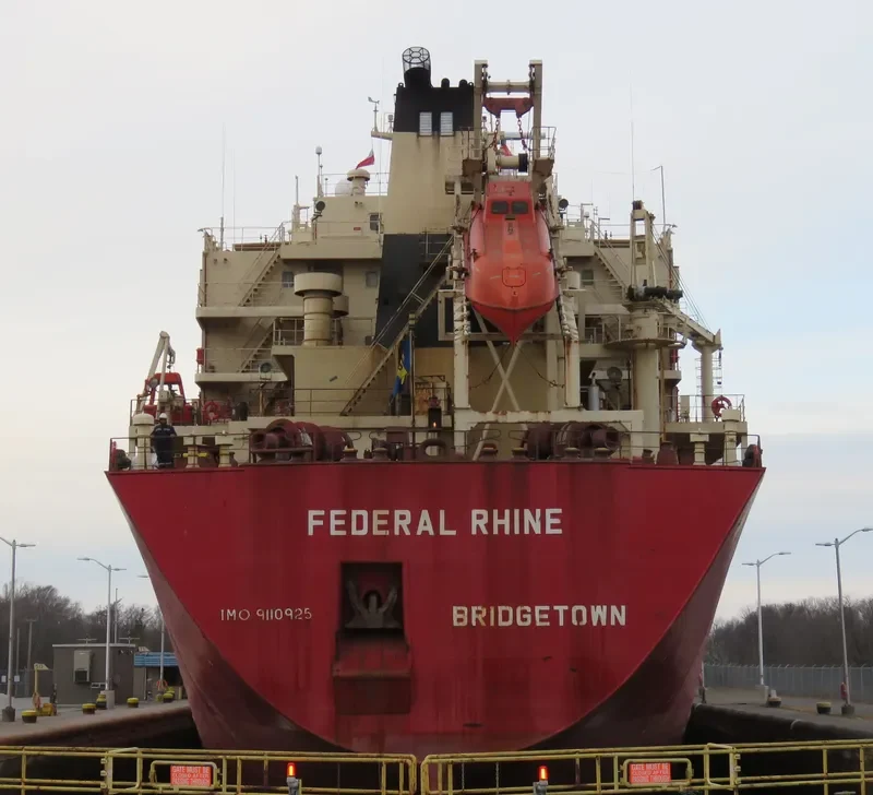 JANKI Bulk Carrier IMO 9110925 photo 2