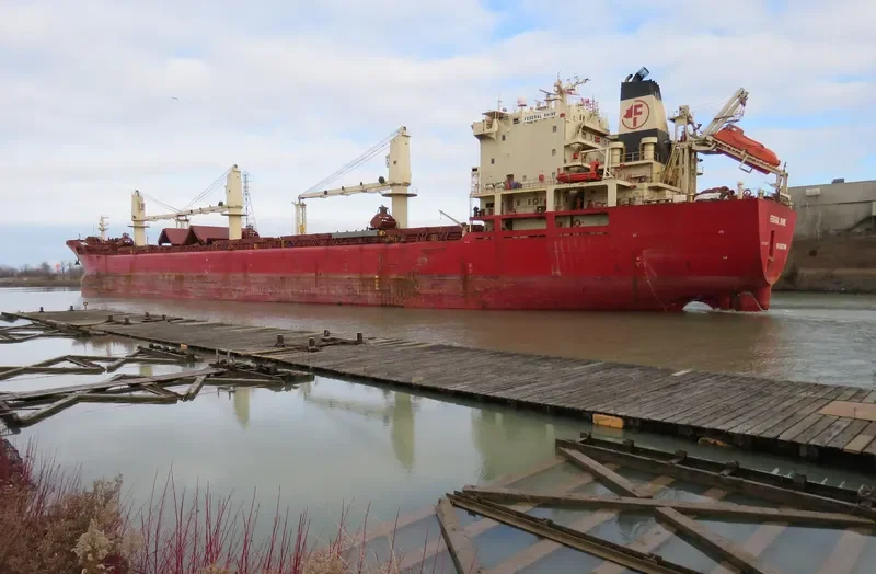 JANKI Bulk Carrier IMO 9110925 photo 4