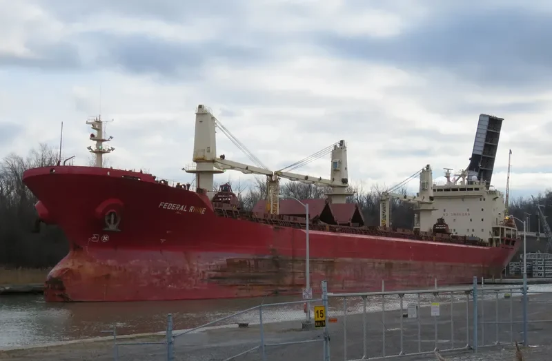 JANKI Bulk Carrier IMO 9110925 photo 6
