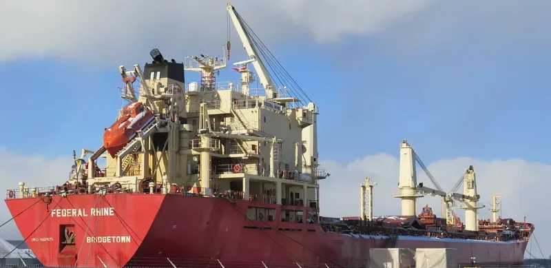 JANKI Bulk Carrier IMO 9110925 photo 7