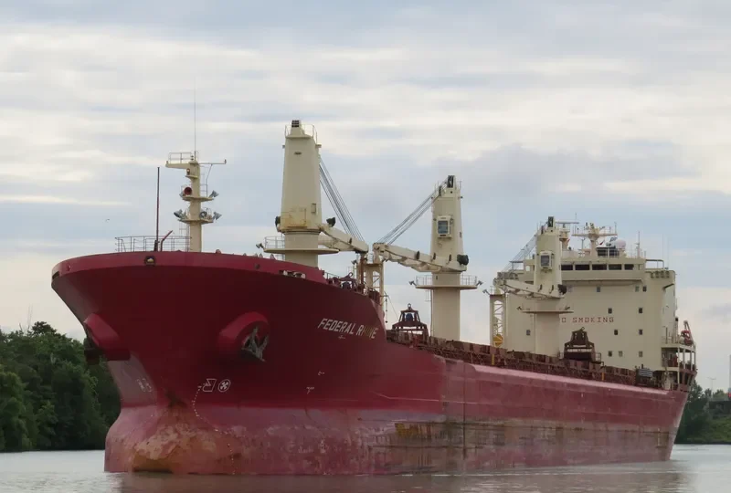 JANKI Bulk Carrier IMO 9110925 photo 8