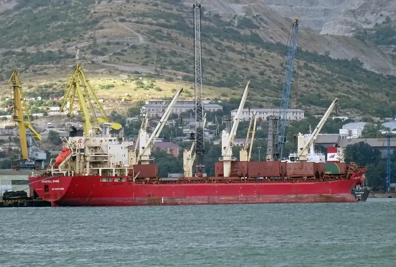 JANKI Bulk Carrier IMO 9110925 photo 9