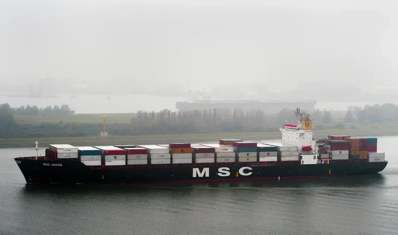 MSC JAPAN Container Ship IMO 9110975 photo 2