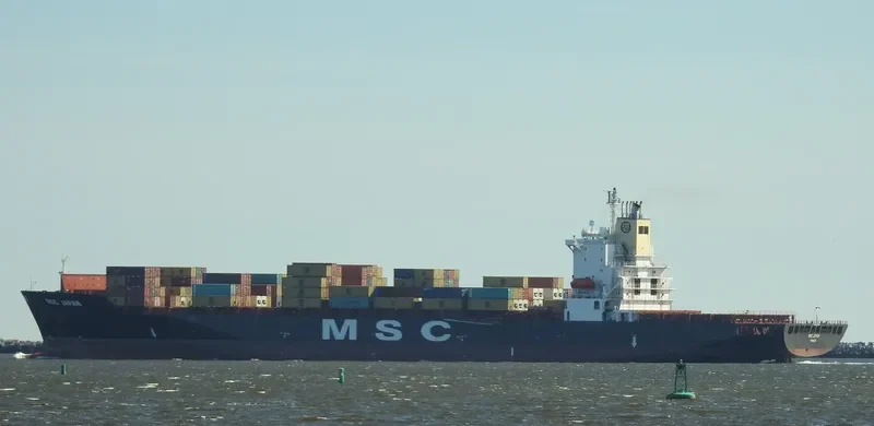 MSC JAPAN Container Ship IMO 9110975 photo 4