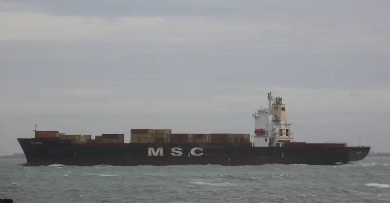 MSC JAPAN Container Ship IMO 9110975 photo 5